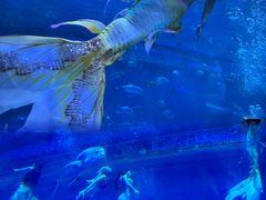 -华夏文旅西安度假区