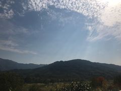 -塔川景区