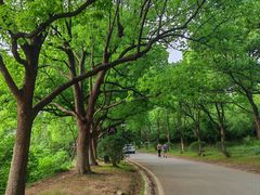 -南京市江宁方山