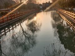 -九科绿洲