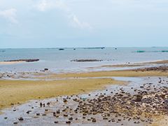 -北海金海湾红树林生态旅游区