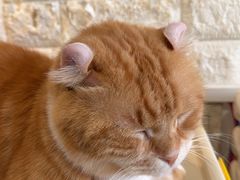 -平行世界·猫咖(首经贸店)