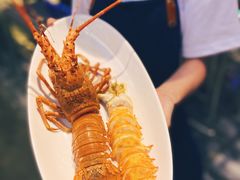 -陈鹏鹏潮汕菜(欢乐海岸 海边景观店)
