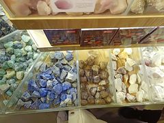 -Behring World of Animals(上海自然博物馆店)