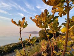 -东山风景区(洞庭东山)