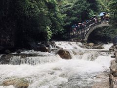 -姑婆山旅游区