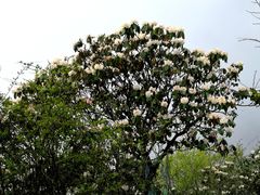 -九峰山