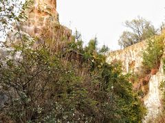 -彩色沙林风景区