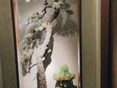 -觀芷隐轩