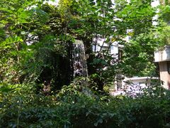 -上海交通大学医学院附属瑞金医院(总院)