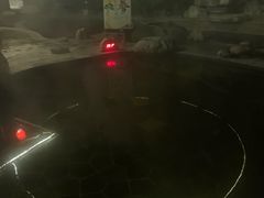 -雅安楠水阁温泉酒店