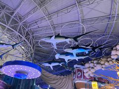 -烟台海昌鲸鲨海洋公园