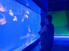 -海合安武汉极地海洋公园