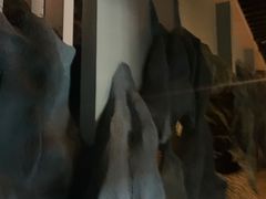 -青藏高原自然博物馆