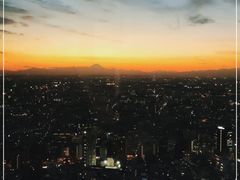 -东京都厅舍