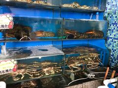 水产区-蚝专家(北滘店)