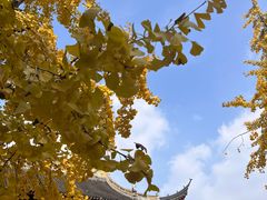 -西园戒幢律寺
