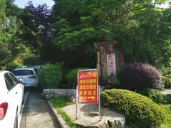 -铁山坪森林公园