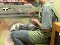 -宠物兔专门店(天丰利市场店)