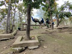 -哈尔滨北方森林动物园