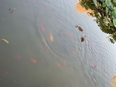 -前关湿地公园