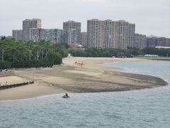 -五缘湾湿地公园