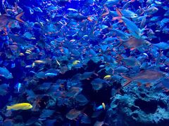 -成都浩海立方海洋公园