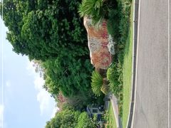 -东莞植物园