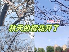 -堤角公园