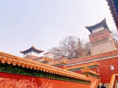 -颐和园