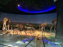 -安徽省地质博物馆