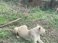 -泉州海丝野生动物世界