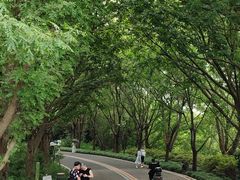 -同里国家湿地公园