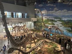 -自贡恐龙博物馆
