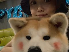 -百好乐宠物友好餐厅(朝外大街店)