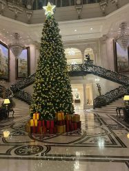 -大连城堡豪华精选酒店·宴会厅