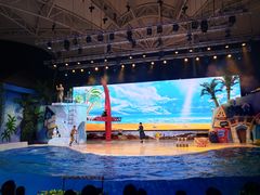 -三亚海昌梦幻海洋不夜城