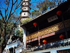 -江心屿景区