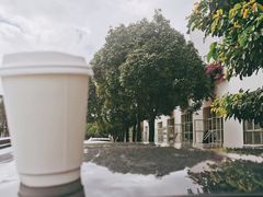 -收获咖啡HARVEST RESERVE(苍山店)