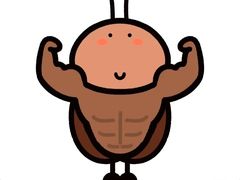 -马大胡子清真西北菜