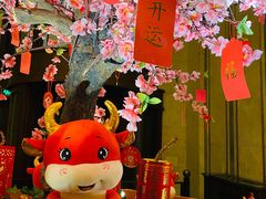 -上海和平饭店龙凤厅 Dragon Phoenix