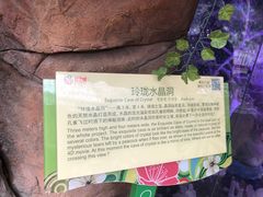 -花之城