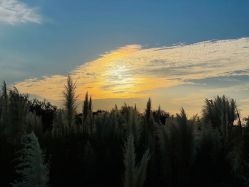 -Oasis Beauty水磨坊科技美肤中心