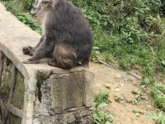 -峨眉山风景名胜区