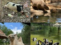 -北京野生动物园