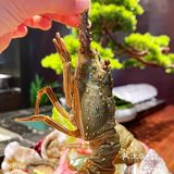 隐藏在W酒店的五星级海鲜放题｜贵船·日料