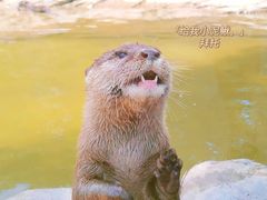 -杭州野生动物世界