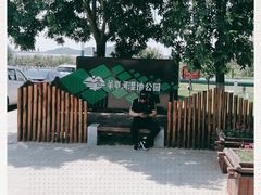 -羊亭河湿地公园