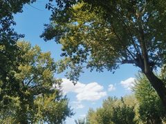 -长白岛森林公园