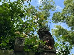 -天一阁博物院